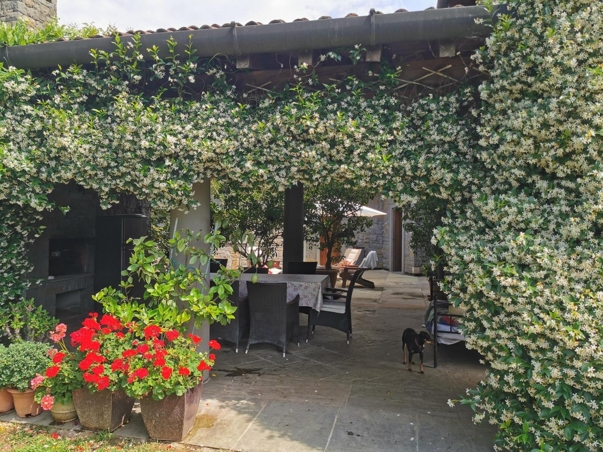 B&B Villa Melograno Pontoglio Ngoại thất bức ảnh
